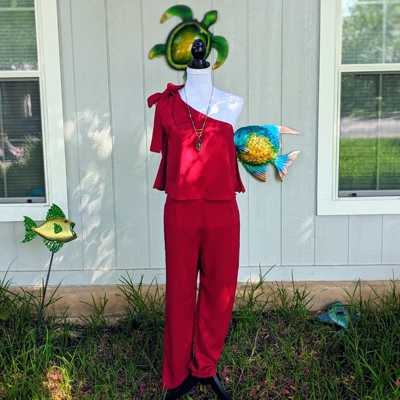 Gorgeous Garnet One shoulder Jumpsuit - Picture 5 of 7